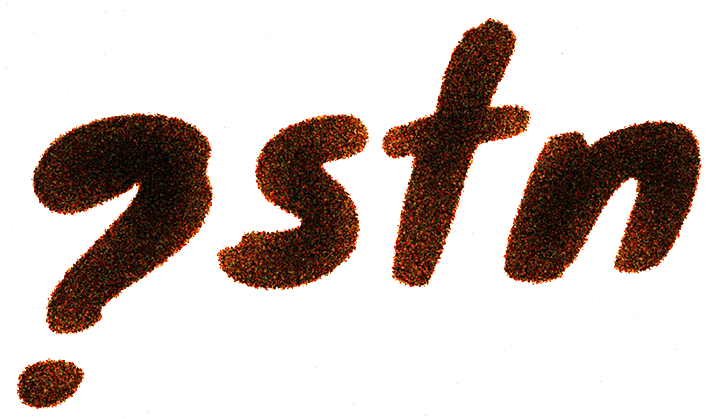 qstn logo